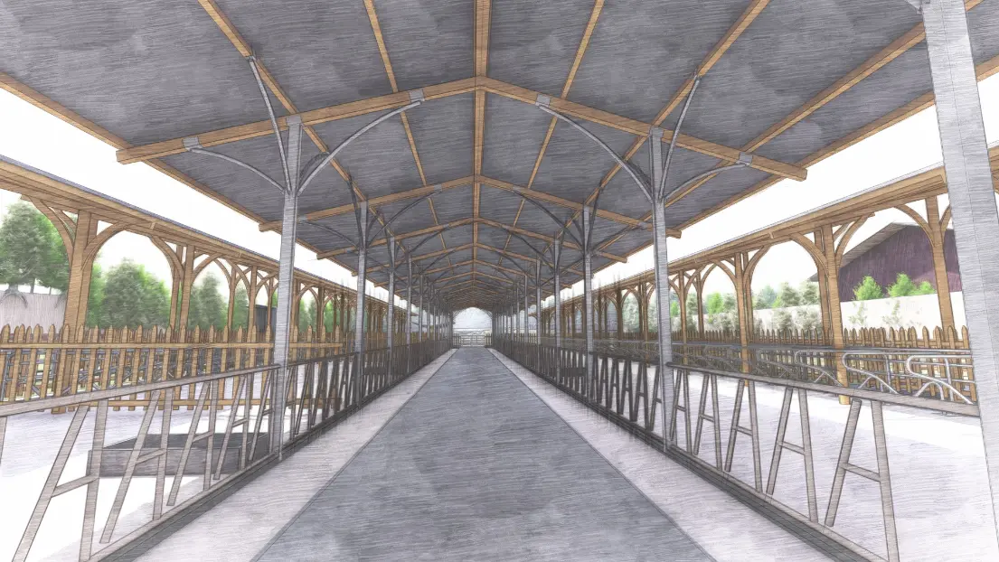 Dairy Cattle farm: Drive-through feed aisle — Livestock Production Centre, Chepalungu Constituency, Bomet County